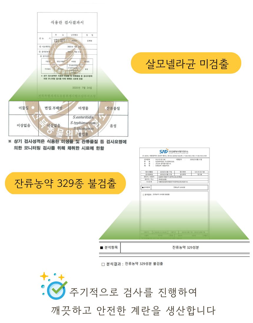 매일계란 (3).jpg